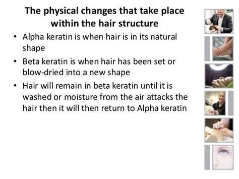 Physical Changes That Take Place Within Hair Structure When Styling H