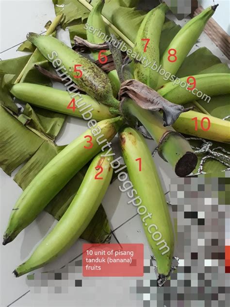 Healthy Nurul Beauty The Heaviest Pisang Tanduk Banana Fruit Weigh