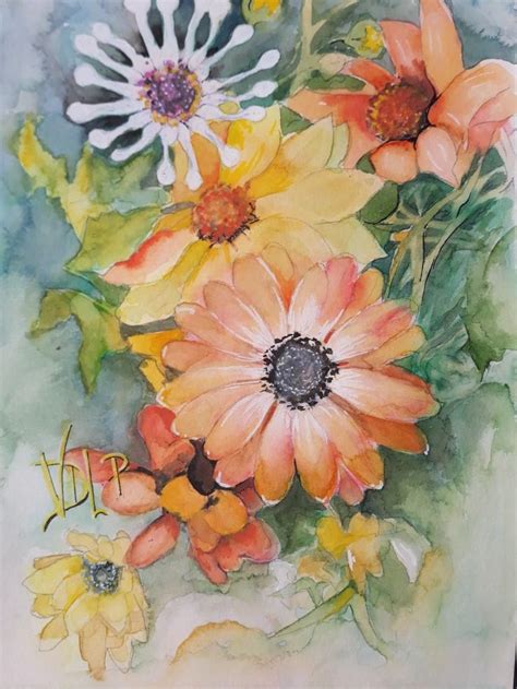 Fleurs De Gazania Aquarelle A4 De Vanderlinden Pascale