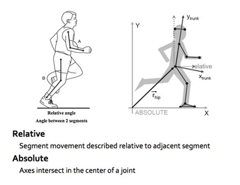 Biomechanics Flashcards Quizlet