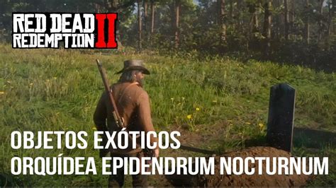 Red Dead Redemption 2 Guía Localización Orquídea Epidendrum Nocturnum Youtube