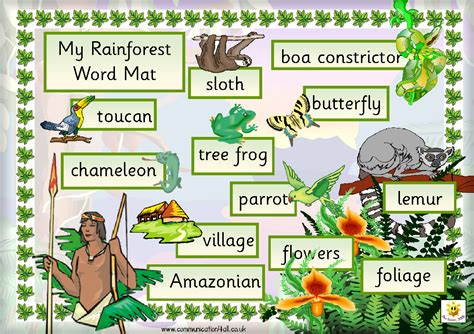 Free Printable Rainforest Word Mat