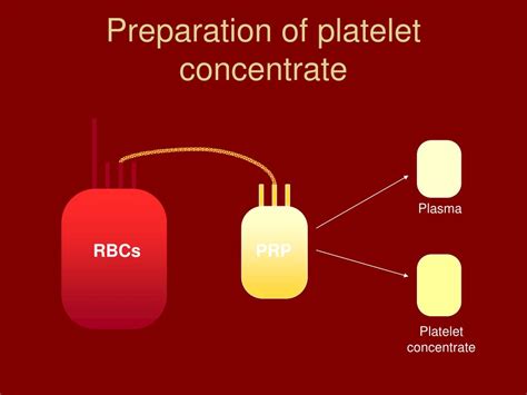 Ppt Unit 2 Blood Components Powerpoint Presentation Id357724