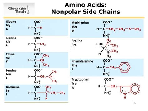 Ppt Survey Of Biochemistry Amino Acids And Proteins Powerpoint