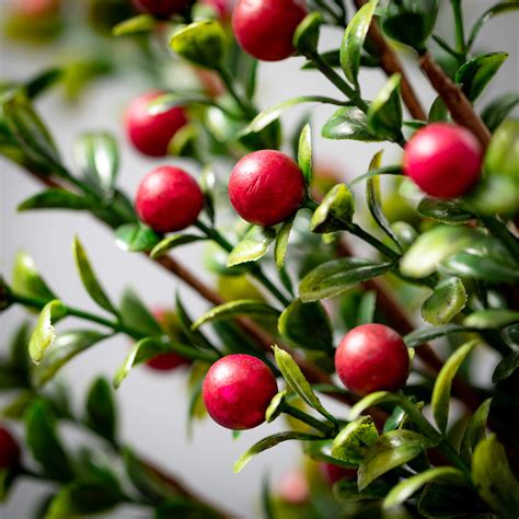 Wholesale Boxwood Berry Spray Stems Green Red Sprays Sullivans