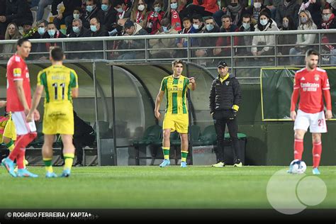 Liga Bwin Tondela X Benfica Fotos Zerozero Pt