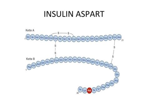 Insulin Its Preparations Ppt