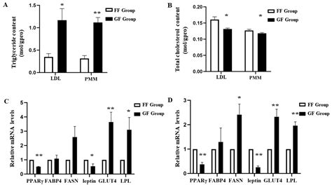 Animals Free Full Text The Effect Of Rearing Conditions On Carcass