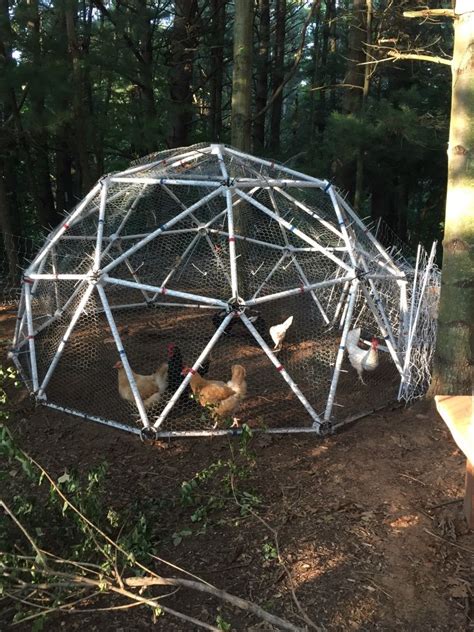 Customer Review Foot Geodesic Chicken Coop Kit Chicken Coop Kit