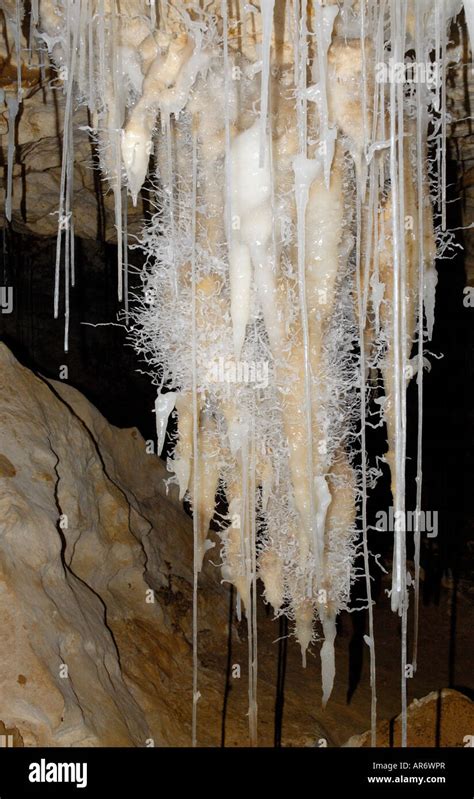 A mass of helictites in Easter Cave, Western Australia Stock Photo - Alamy