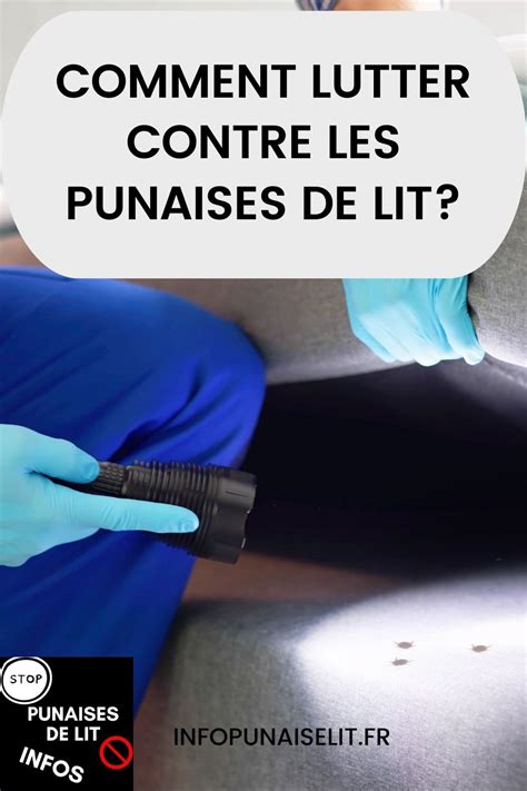 Comment Lutter Contre Des Punaises De Lit Blog Infos Punaises De Lit