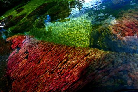 Caño Cristales — Colombia's "River of Five Colors" | The HoliDaze