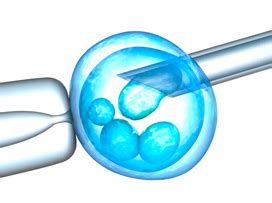 Qué es la preservación de la fertilidad Natalben