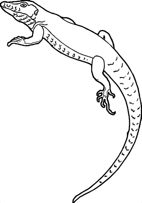 Lizards Coloring Pages Coloringbay