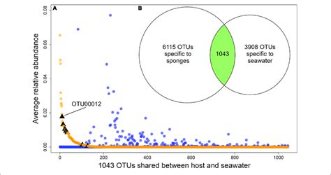 A Plot Showing The Relative Abundances Of The Otus That Are