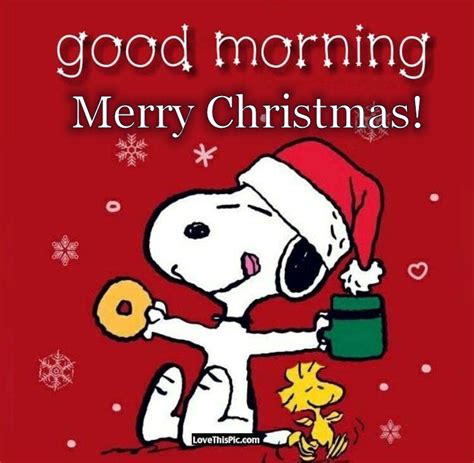 Snoopy Good Morning Merry Christmas Pictures Photos And Images For