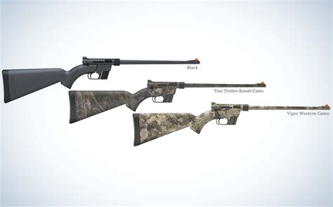 Best Rimfire Rifles | Outdoor Life