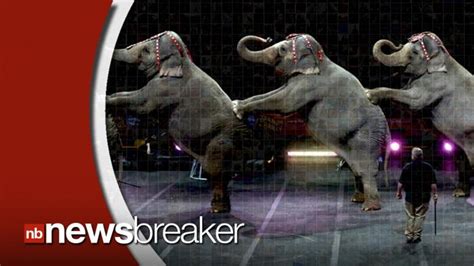 Ringling Brothers Set To Phase Out Elephants In All Circus Shows By