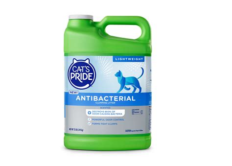 Cat Litter Bacteria Brain at Vivian Beck blog