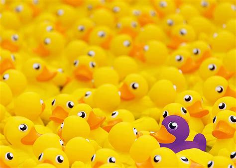 Ravensburger Rubber Ducks Challenge 1000 Piece Adults Jigsaw Puzzle