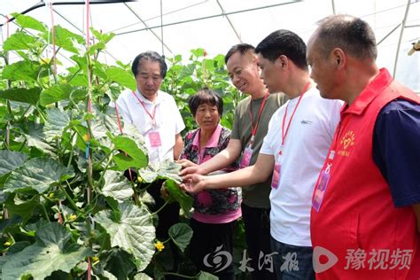 开封市杞县五里河镇人大：视察人居环境和农业产业发展 大河新闻