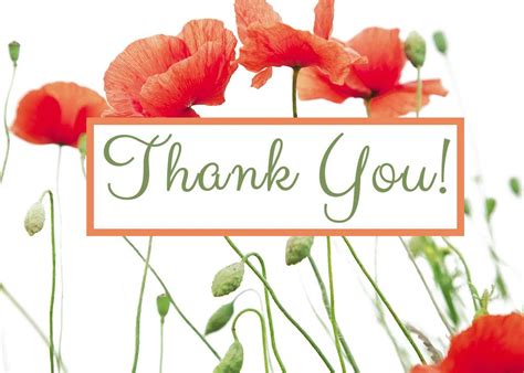 These Poppy Thank You Cards Are A Great Compliment To The Poppy Wedding