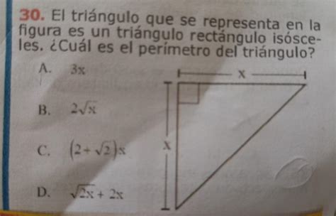 Ayuda Porfavor 30 El Triángulo Que Se Representa En La Figura De Un