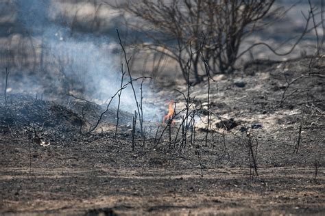 Multiple Wildfires Active In Texas Amid Extreme Heat Dry Conditions Texas Standard