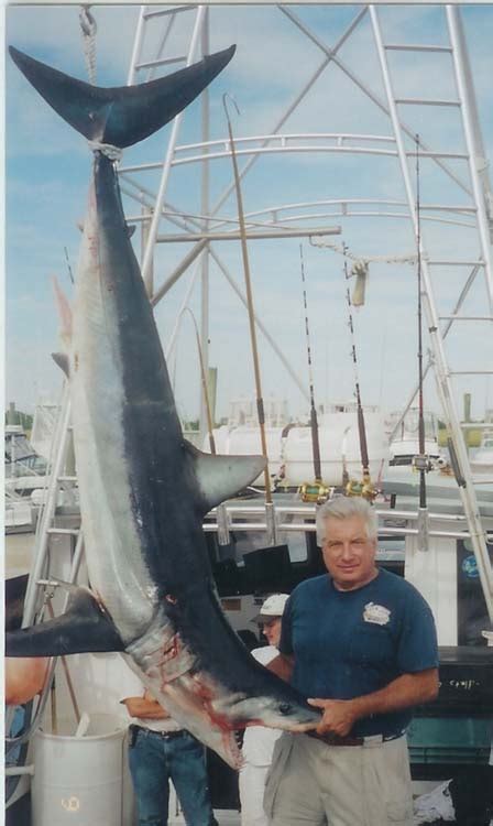 Shark Fishing Charters With Big Fish II - Go For Mako, Thresher, Blue ...