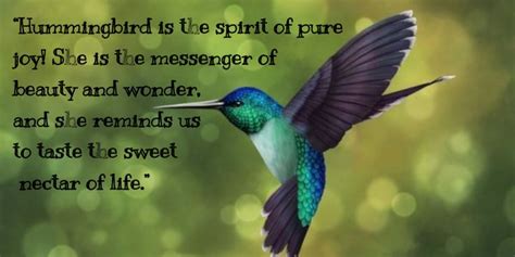 Hummingbird Quotes Feel The Beauty Of It EnkiQuotes Hummingbird