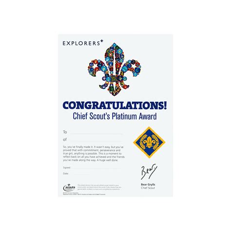 Network Explorers Chief Scouts Platinum Award Certificates 10 Pack