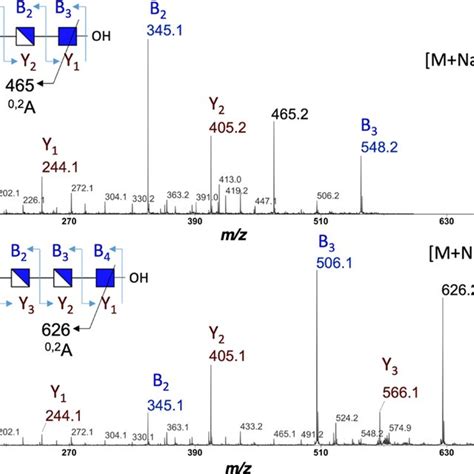 Maldi Tof Tof Ms Ms Spectra Of Pacoss A Glcn β 1 4 Glcn β 1 4 Glcnac Download Scientific