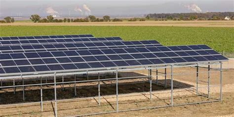 New Agrivoltaic System Design From Germany Pv Magazine International