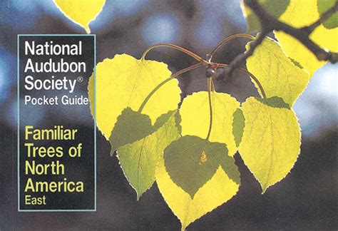 Familiar Trees Of North America East National Audubon Society Pocket