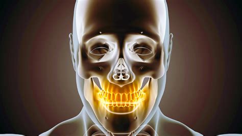 Evolutionary Mystery Why Are Mammals The Only Vertebrates To Have Only