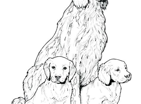 Labrador Puppy Coloring Pages At Free Printable