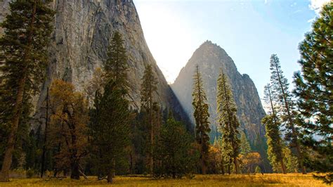 🔥 [50+] OS X Yosemite Wallpapers Pack | WallpaperSafari