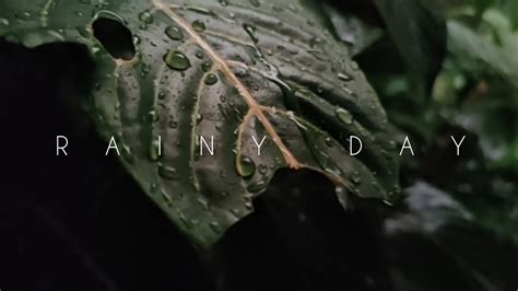 Beauty Of Monsoon Cinematic Video RAINY DAY IN MORANG NEPAL Rain