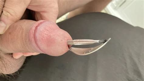 Urethral Sounding Session And Multiple Insertions Australian Gay BDSM Porn XHamster