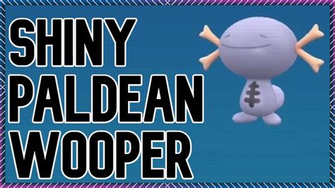 Live Full Odds Paldean Wooper Shiny Pokemon Scarlet Violet Youtube