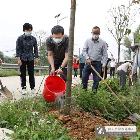 南宁市人大领导到隆安县开展植树活动和推进乡村振兴工作调研黄均宁陆明利一行