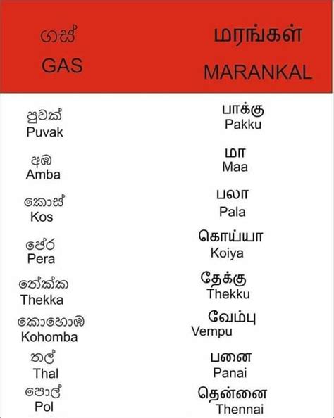 Bin Card Meaning Of Sinhala at Brian Kushner blog