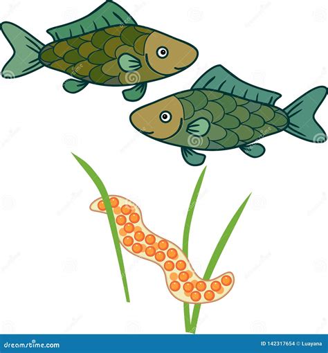 Spawning Cartoons, Illustrations & Vector Stock Images - 990 Pictures ...