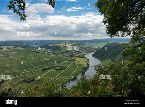 Mosella hi-res stock photography and images - Alamy