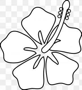 Hawaii Drawing Flower Clip Art PNG 1000x1000px Hawaii Art Black