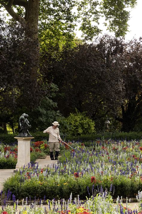 Holland Park Area Guide - Domus Nova