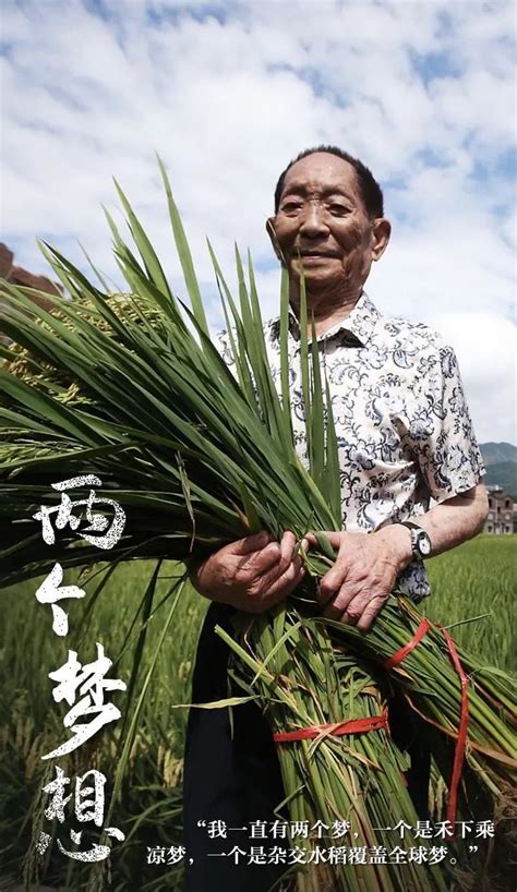 缅怀重温丨袁隆平：《我的两个梦》（节选） 袁隆平 新浪新闻