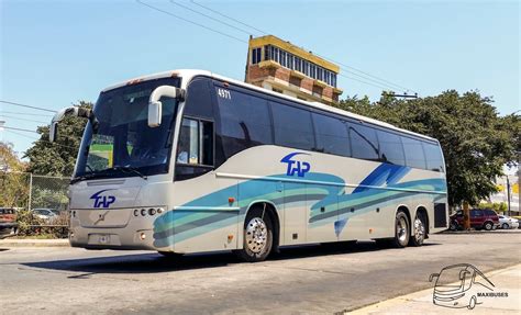 Maxibuses Transportes Y Autobuses Del Pac Fico Tap