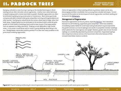 Trees on the Treeless Plains: for broadacre permaculture