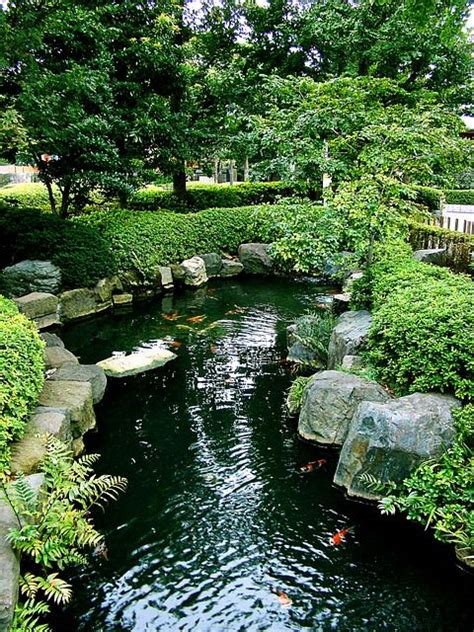 Koi Pond Filter Understanding Koi Pond Filter System Best Ponds